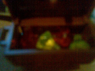 03022009.jpg