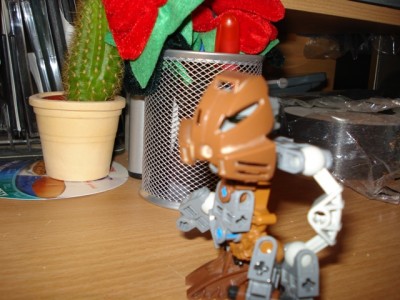 Picture 009.jpg