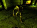 stalker2.jpg