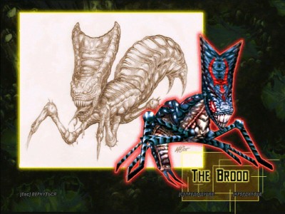 The Brood.jpg