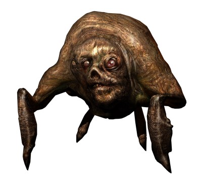 Flesh.jpg