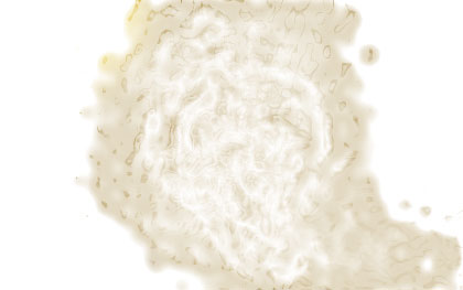 e32f00df2d54.jpg