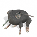.png