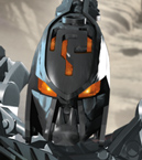 .jpg