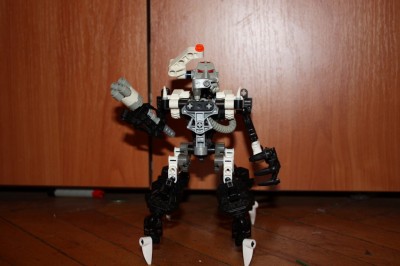 300 129.jpg