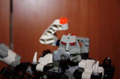 300 127.jpg