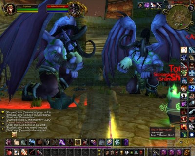 1_WoWScrnShot_082608_024731.jpg
