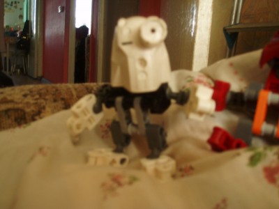P1010200.jpg