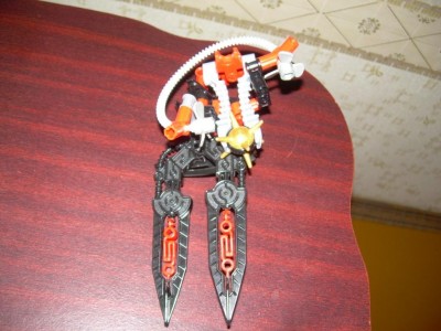 DSCN5564.JPG