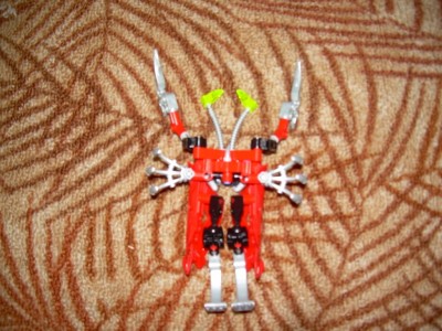 DSCN5640.JPG