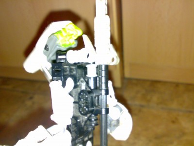 374.jpg