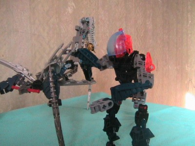 IMG_0786.jpg