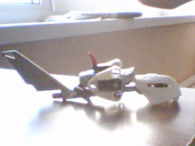 Picture 11.jpg