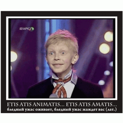 volshebni_krolik_1_1.gif