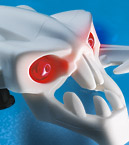  аваик.jpg