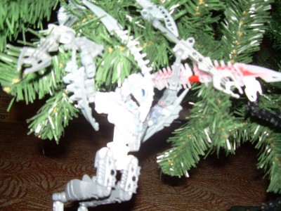 DSCN7569.JPG
