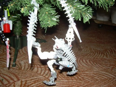DSCN7568.JPG
