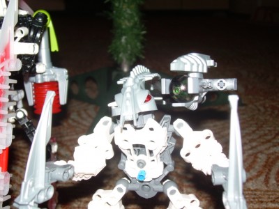 DSCN7565.JPG