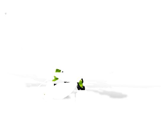 -1.jpg