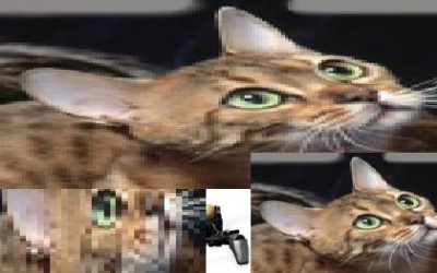 gyh1.jpg