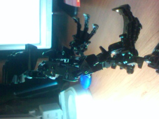 IMG0719A.jpg