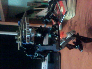 IMG0731A.jpg