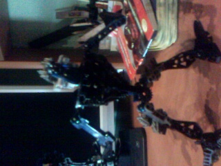 IMG0730A.jpg