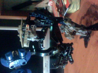 IMG0729A.jpg