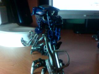 IMG0753A.jpg