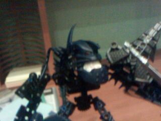 IMG0813A.jpg