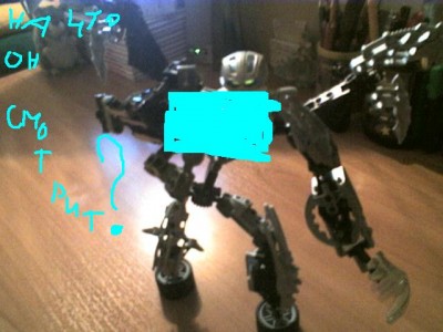 SP_A0456.jpg