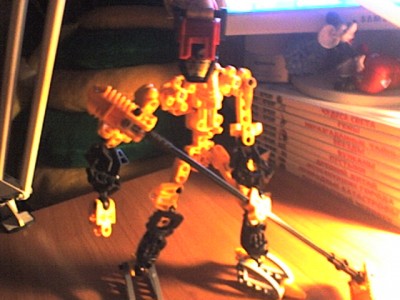 SP_A0462.jpg