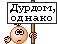 zdurdom.gif