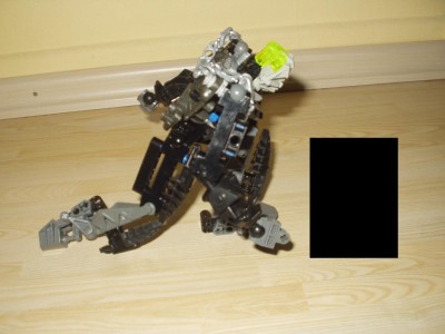 gn.JPG
