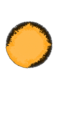 .png
