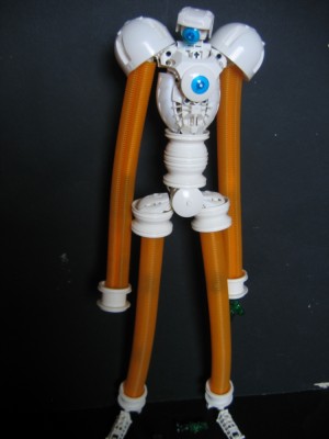inf_006.jpg