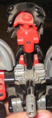 IMG_5574.jpg
