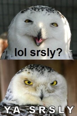 srsly.jpg