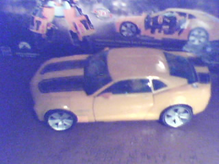 Photo20110202195857222.jpg