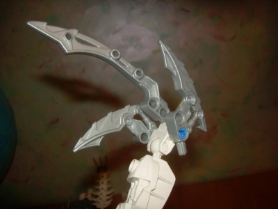 DSCN5093.JPG
