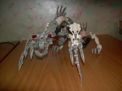DSCN5091.JPG