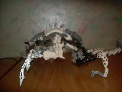 DSCN5089.JPG