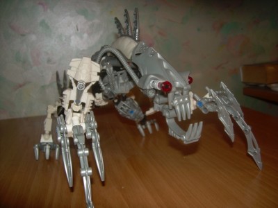 DSCN5088.JPG