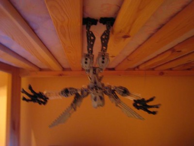  новый год 2008 164.jpg