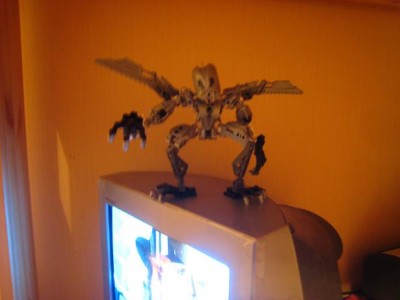  новый год 2008 165.jpg