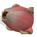 (1).png