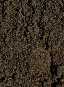 bg-earth.jpg