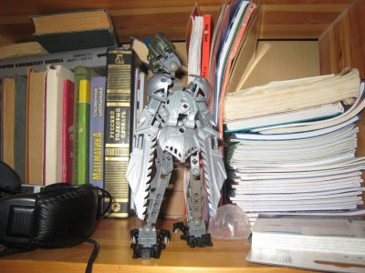  новый год 2008 004.jpg