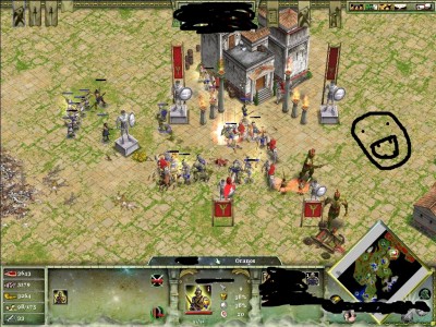 .jpg