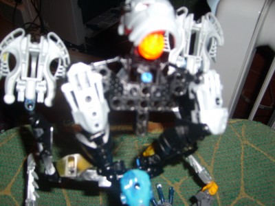 SL735943.JPG